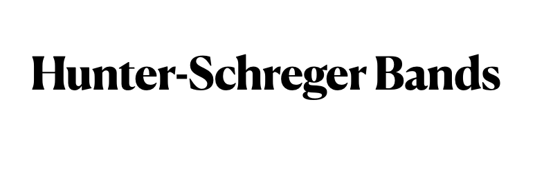 Hunter-Schreger Bands