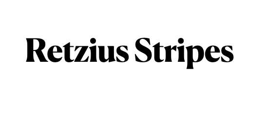 Retzius Stripes